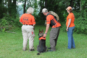 DMVSAR Canine