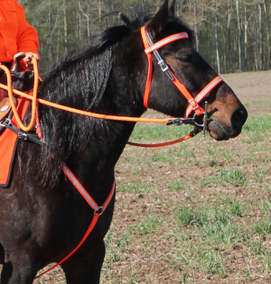 Mounted Unit