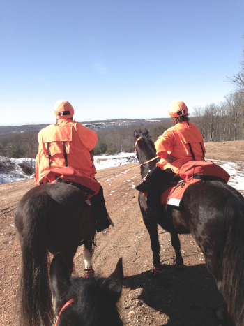 DMVSAR Mounted